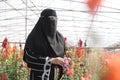 MALAIKA NIQAB